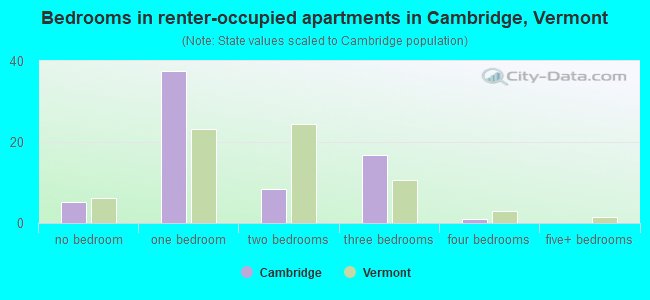 Bedrooms in renter-occupied apartments in Cambridge, Vermont