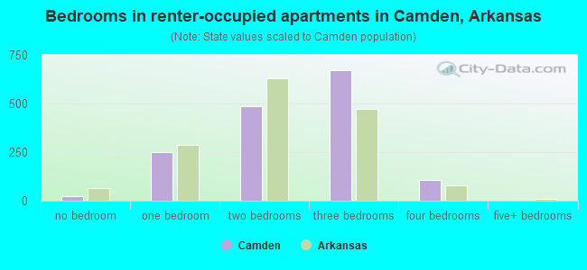 Bedrooms in renter-occupied apartments in Camden, Arkansas