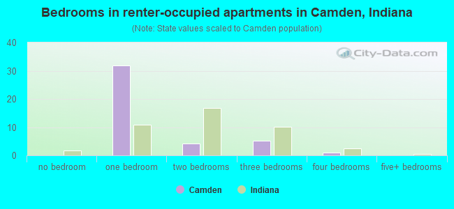Bedrooms in renter-occupied apartments in Camden, Indiana
