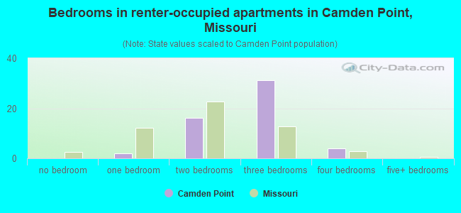 Bedrooms in renter-occupied apartments in Camden Point, Missouri