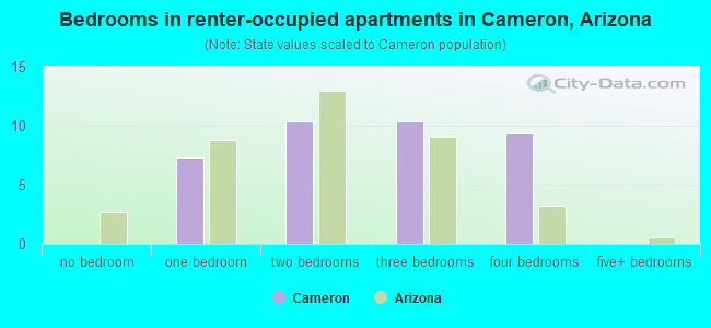 Bedrooms in renter-occupied apartments in Cameron, Arizona