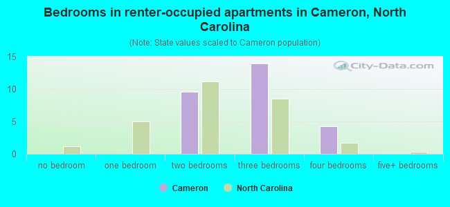 Bedrooms in renter-occupied apartments in Cameron, North Carolina