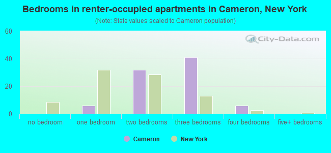 Bedrooms in renter-occupied apartments in Cameron, New York
