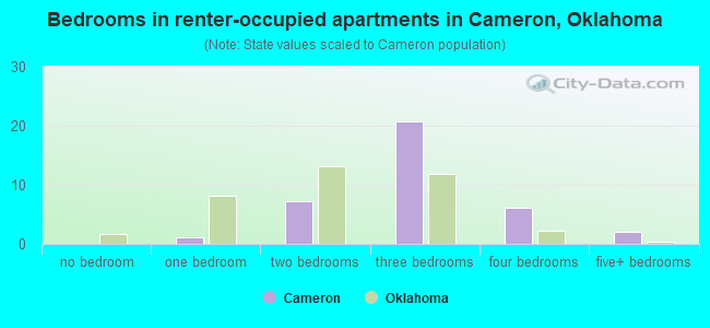 Bedrooms in renter-occupied apartments in Cameron, Oklahoma