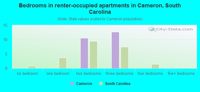 Bedrooms in renter-occupied apartments in Cameron, South Carolina