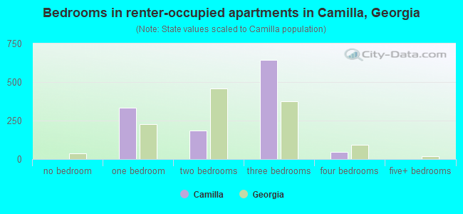 Bedrooms in renter-occupied apartments in Camilla, Georgia