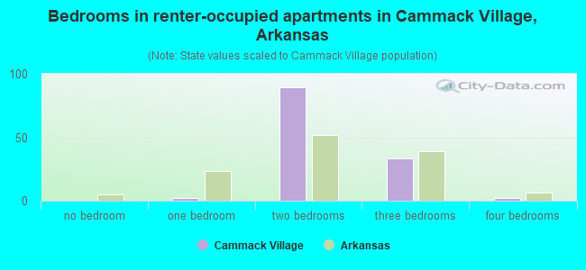 Bedrooms in renter-occupied apartments in Cammack Village, Arkansas