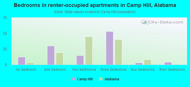Bedrooms in renter-occupied apartments in Camp Hill, Alabama