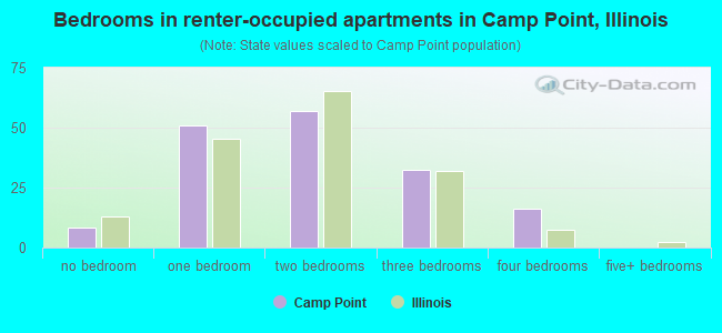 Bedrooms in renter-occupied apartments in Camp Point, Illinois