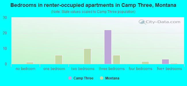 Bedrooms in renter-occupied apartments in Camp Three, Montana