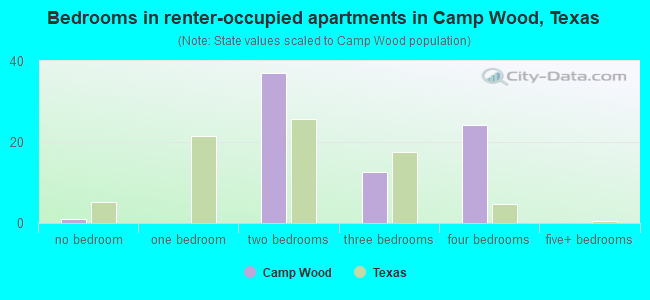 Bedrooms in renter-occupied apartments in Camp Wood, Texas