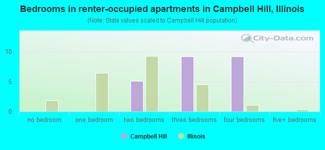 Bedrooms in renter-occupied apartments in Campbell Hill, Illinois