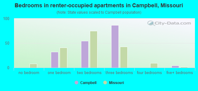 Bedrooms in renter-occupied apartments in Campbell, Missouri
