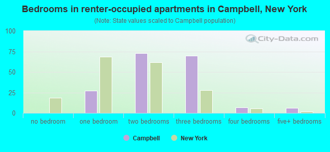 Bedrooms in renter-occupied apartments in Campbell, New York