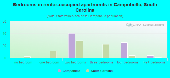 Bedrooms in renter-occupied apartments in Campobello, South Carolina