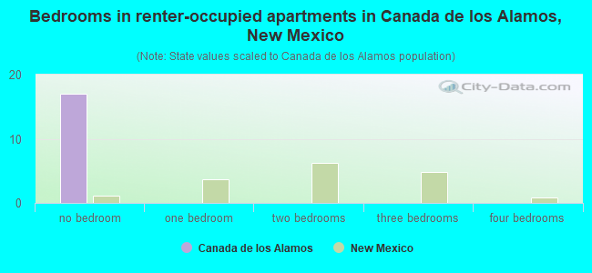 Bedrooms in renter-occupied apartments in Canada de los Alamos, New Mexico