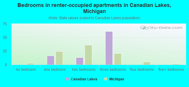 Bedrooms in renter-occupied apartments in Canadian Lakes, Michigan