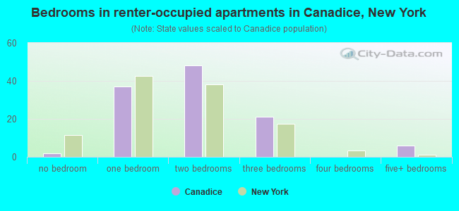 Bedrooms in renter-occupied apartments in Canadice, New York