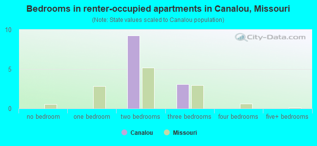Bedrooms in renter-occupied apartments in Canalou, Missouri