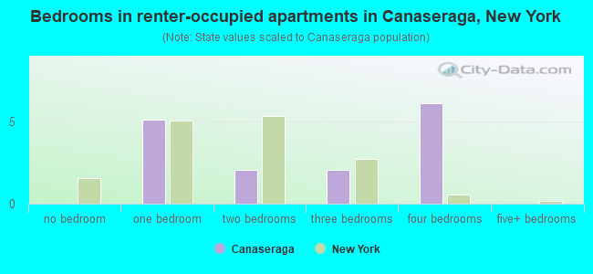 Bedrooms in renter-occupied apartments in Canaseraga, New York