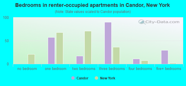 Bedrooms in renter-occupied apartments in Candor, New York