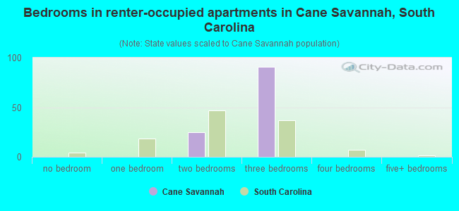 Bedrooms in renter-occupied apartments in Cane Savannah, South Carolina