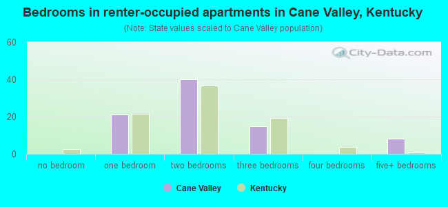 Bedrooms in renter-occupied apartments in Cane Valley, Kentucky