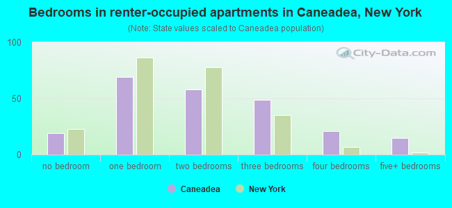 Bedrooms in renter-occupied apartments in Caneadea, New York