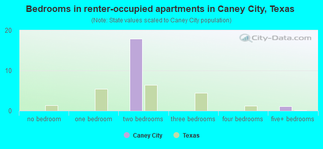 Bedrooms in renter-occupied apartments in Caney City, Texas