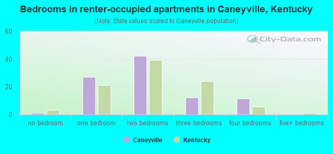 Bedrooms in renter-occupied apartments in Caneyville, Kentucky