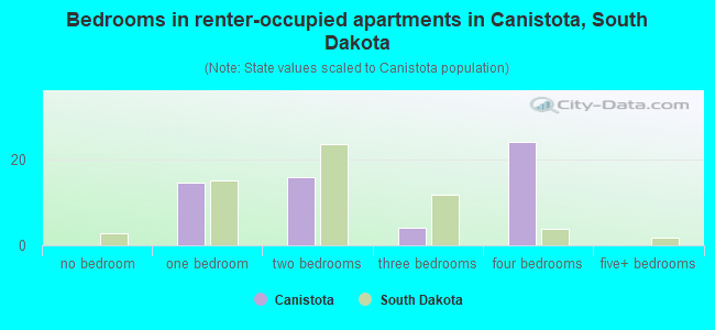 Bedrooms in renter-occupied apartments in Canistota, South Dakota