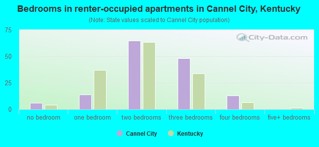 Bedrooms in renter-occupied apartments in Cannel City, Kentucky