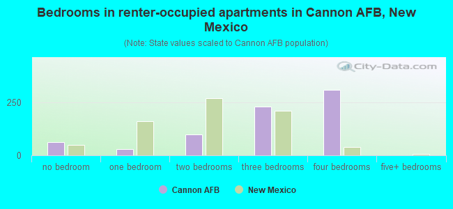 Bedrooms in renter-occupied apartments in Cannon AFB, New Mexico