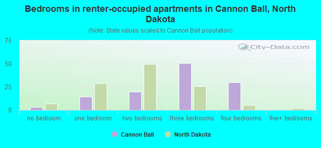 Bedrooms in renter-occupied apartments in Cannon Ball, North Dakota
