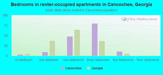 Bedrooms in renter-occupied apartments in Canoochee, Georgia