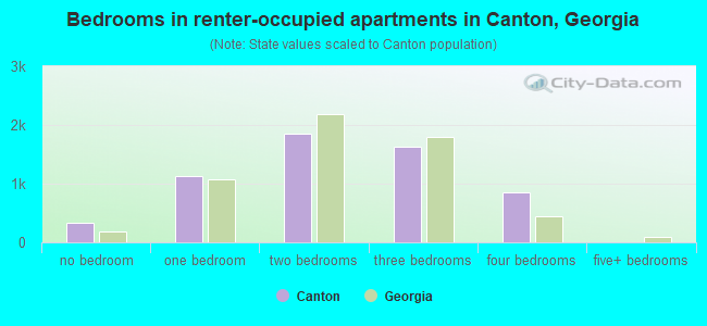 Bedrooms in renter-occupied apartments in Canton, Georgia
