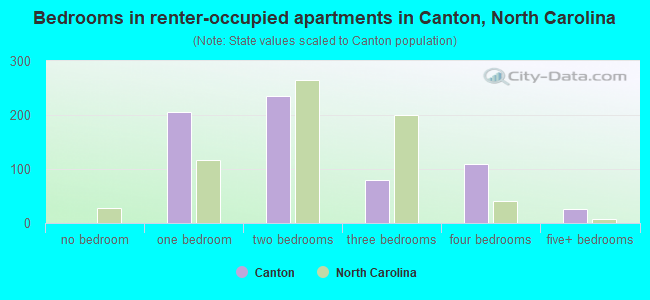 Bedrooms in renter-occupied apartments in Canton, North Carolina