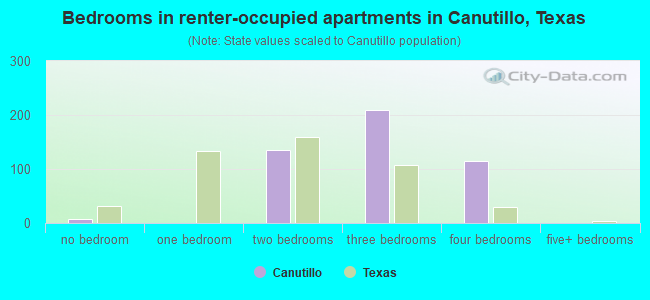 Bedrooms in renter-occupied apartments in Canutillo, Texas
