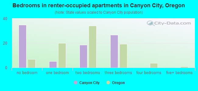 Bedrooms in renter-occupied apartments in Canyon City, Oregon