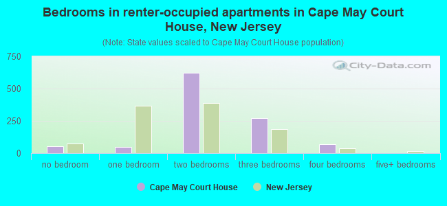 Bedrooms in renter-occupied apartments in Cape May Court House, New Jersey