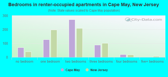 Bedrooms in renter-occupied apartments in Cape May, New Jersey