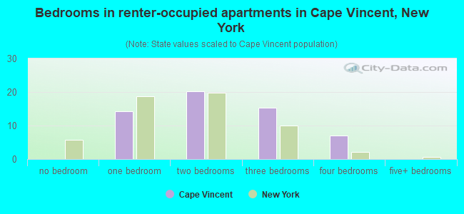 Bedrooms in renter-occupied apartments in Cape Vincent, New York