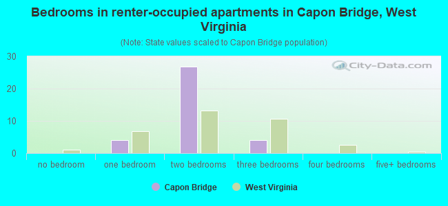 Bedrooms in renter-occupied apartments in Capon Bridge, West Virginia