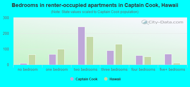 Bedrooms in renter-occupied apartments in Captain Cook, Hawaii