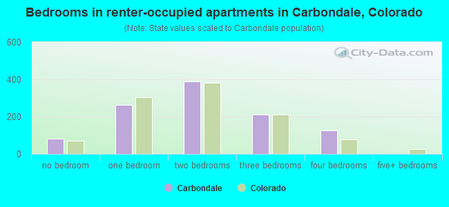 Bedrooms in renter-occupied apartments in Carbondale, Colorado