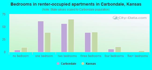 Bedrooms in renter-occupied apartments in Carbondale, Kansas