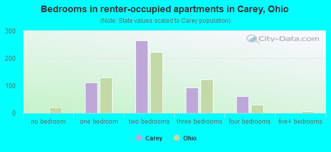 Bedrooms in renter-occupied apartments in Carey, Ohio