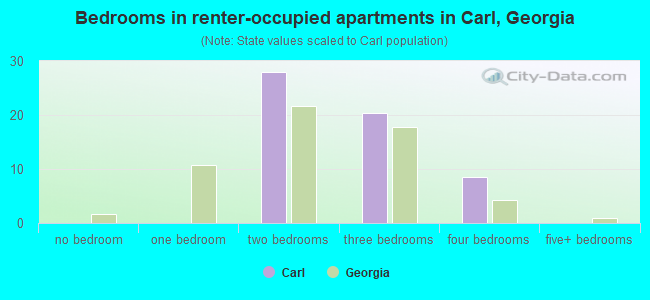Bedrooms in renter-occupied apartments in Carl, Georgia