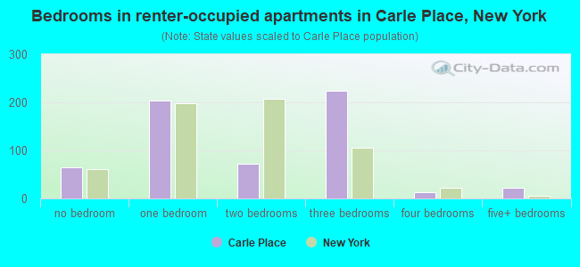 Bedrooms in renter-occupied apartments in Carle Place, New York
