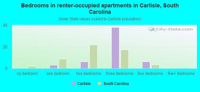 Bedrooms in renter-occupied apartments in Carlisle, South Carolina